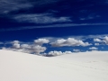 The Great Blue