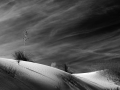 White Sands