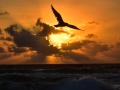 Sunrise: A spiritual Renewal