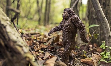 Bigfoot by Stephen Cooper