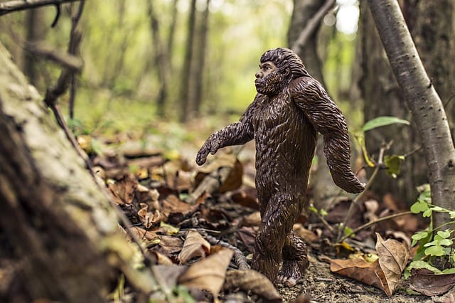 Bigfoot by Stephen Cooper