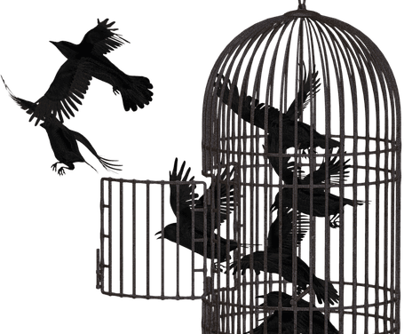 The Seventh Crow by Chip Jett
