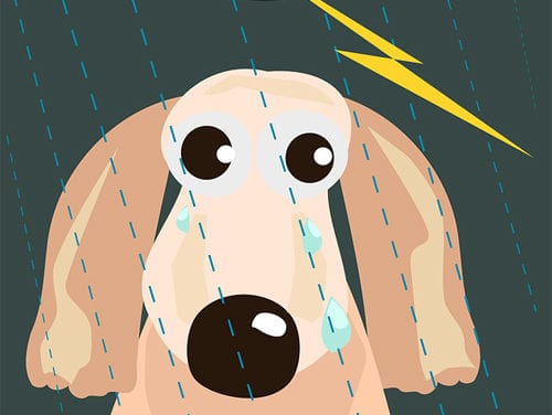 Doggie by Dakota James
