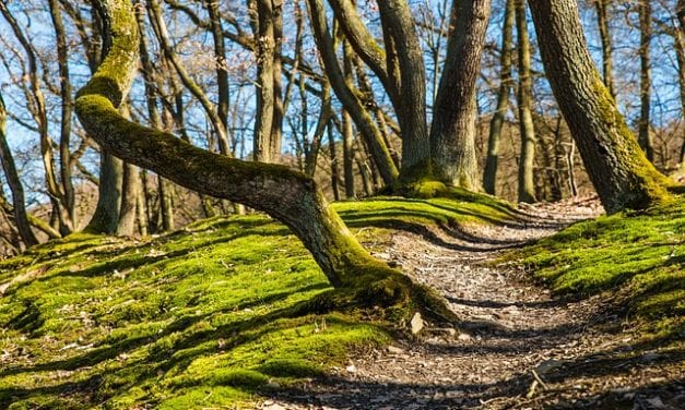 Battlefield National Park by Becky Marietta