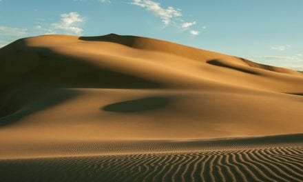 Treacherous Dune by Megha Sood