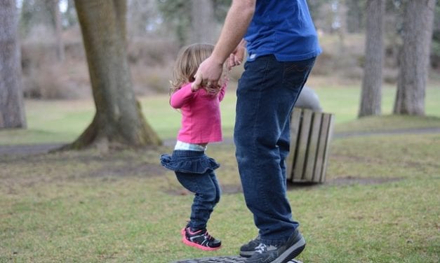 The Life and Times of a Male Childminder by Philip R. Harrison