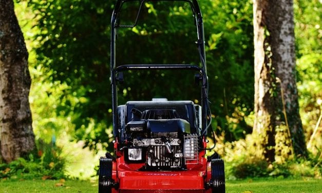 Dueling Lawnmowers by Duane Anderson