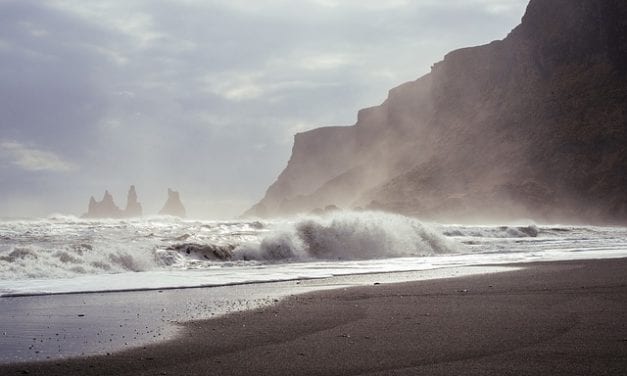 Desperately Semaphoring from The Shore  by Claire Scott  